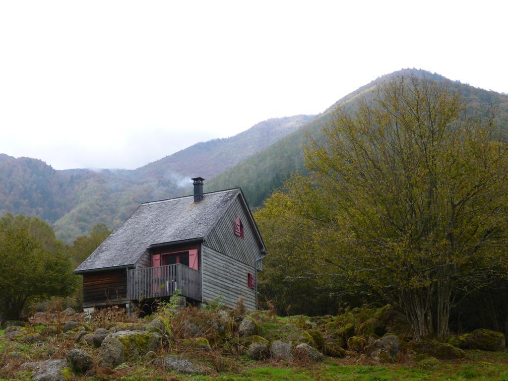 Les Chalets De La Foret D'Issaux Osse-en-Aspe Экстерьер фото