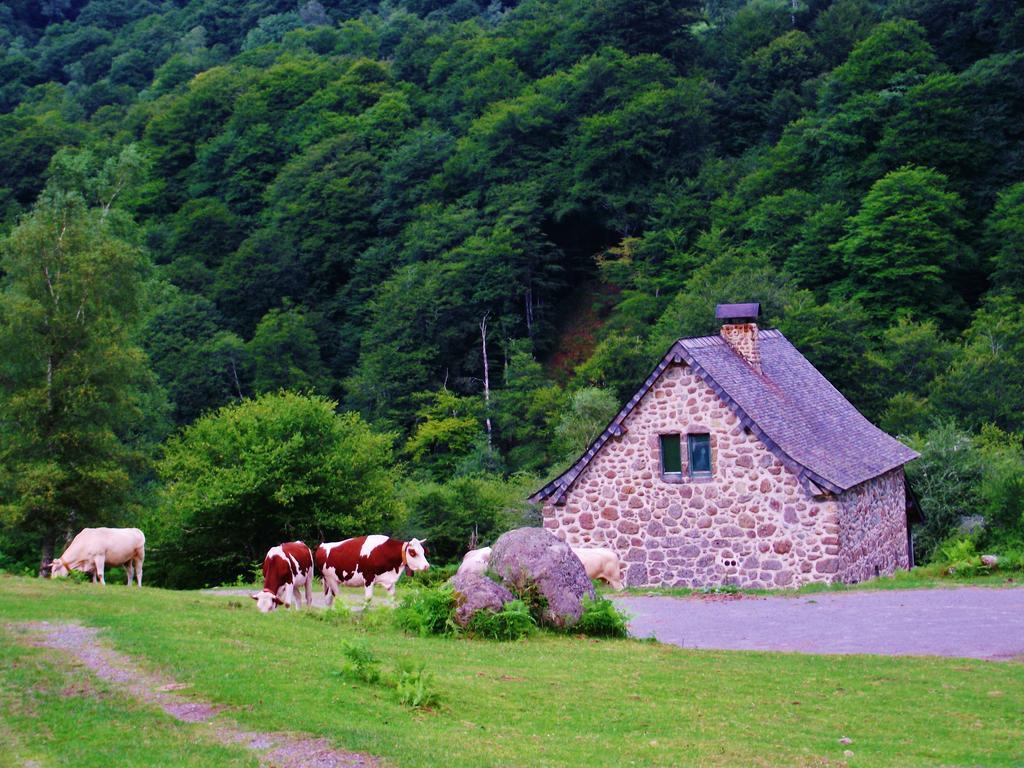 Les Chalets De La Foret D'Issaux Osse-en-Aspe Экстерьер фото